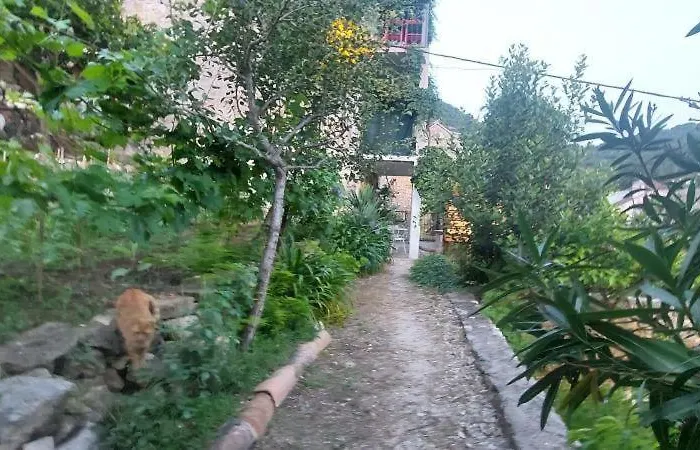 Stunning View-maleni Vis