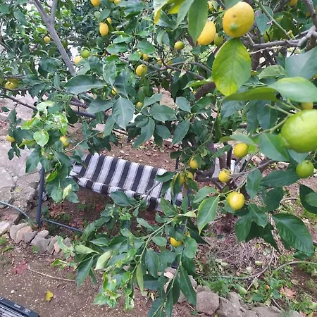 Daire Stunning View-maleni Vis