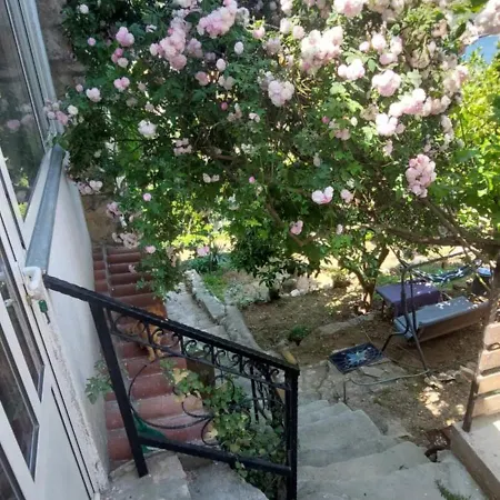 Daire Stunning View-maleni Vis