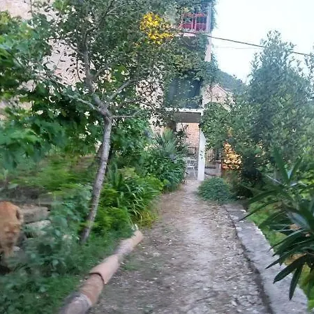 Stunning View-maleni Vis