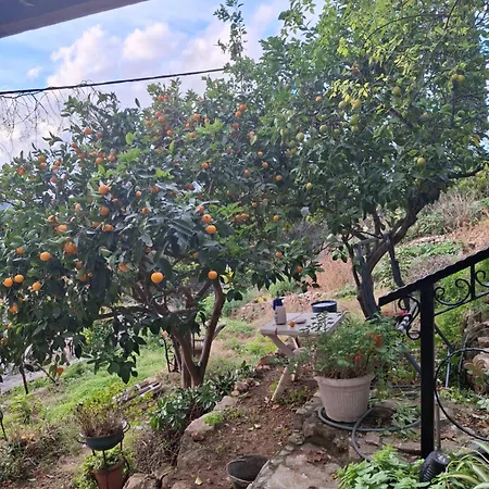 Stunning View-maleni * Vis