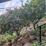 Stunning View-maleni * Vis