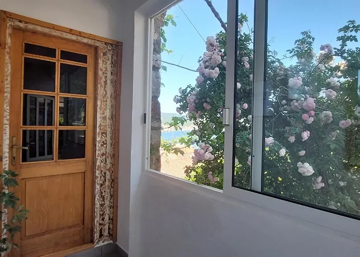 Stunning View-maleni
