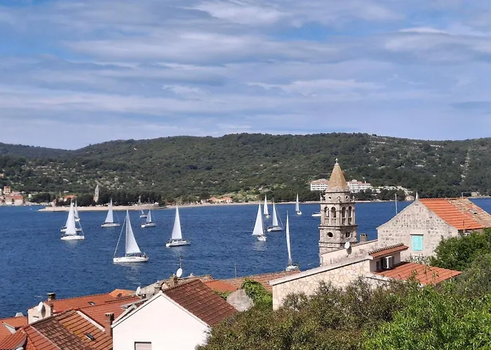 Stunning View-maleni Vis